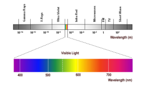 Science of Vision - Electromagnetic Spectrum
